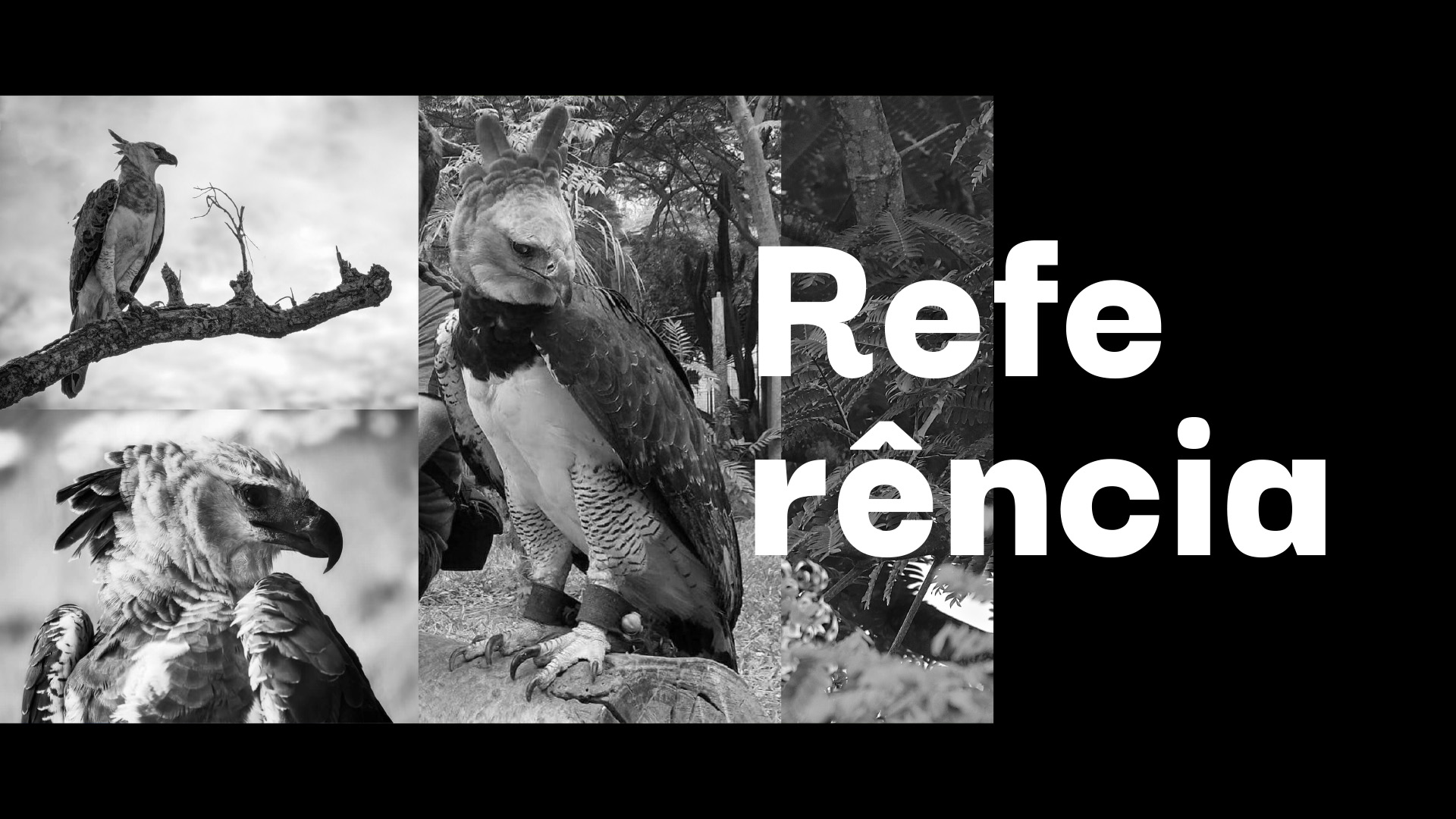 Designer-de-Logomarca-Rodnei-Cruz-1 Identidade Visual Rodnei Cruz