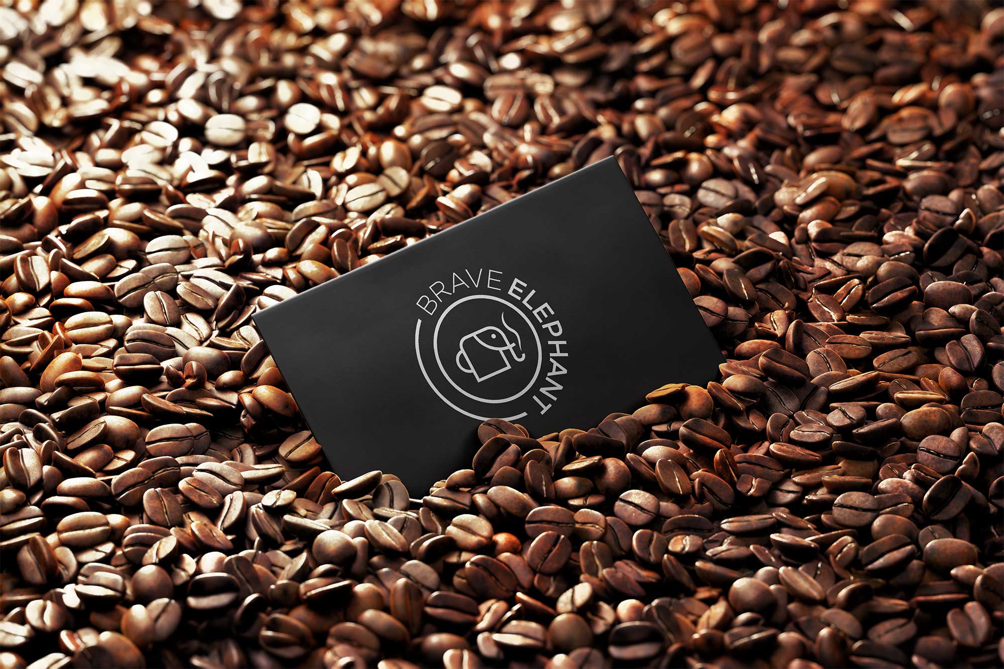 Logotipo-Designer-Grafico-Design-Logotipo-Brave-Elephant-Rodnei-Cruz-4 Identidade Visual Brave Elephant