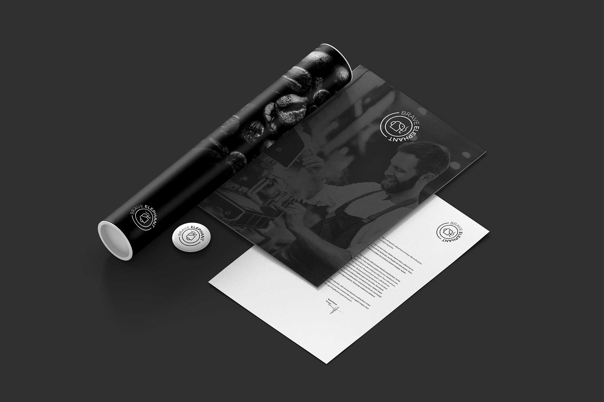 Logotipo-Designer-Grafico-Design-Logotipo-Brave-Elephant-Rodnei-Cruz-5 Identidade Visual Brave Elephant