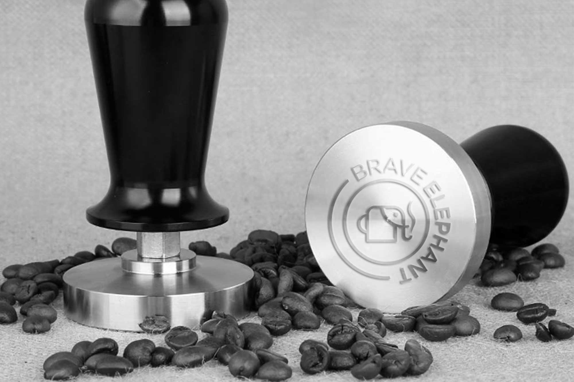 Logotipo-Designer-Grafico-Design-Logotipo-Brave-Elephant-Rodnei-Cruz-7 Identidade Visual Brave Elephant