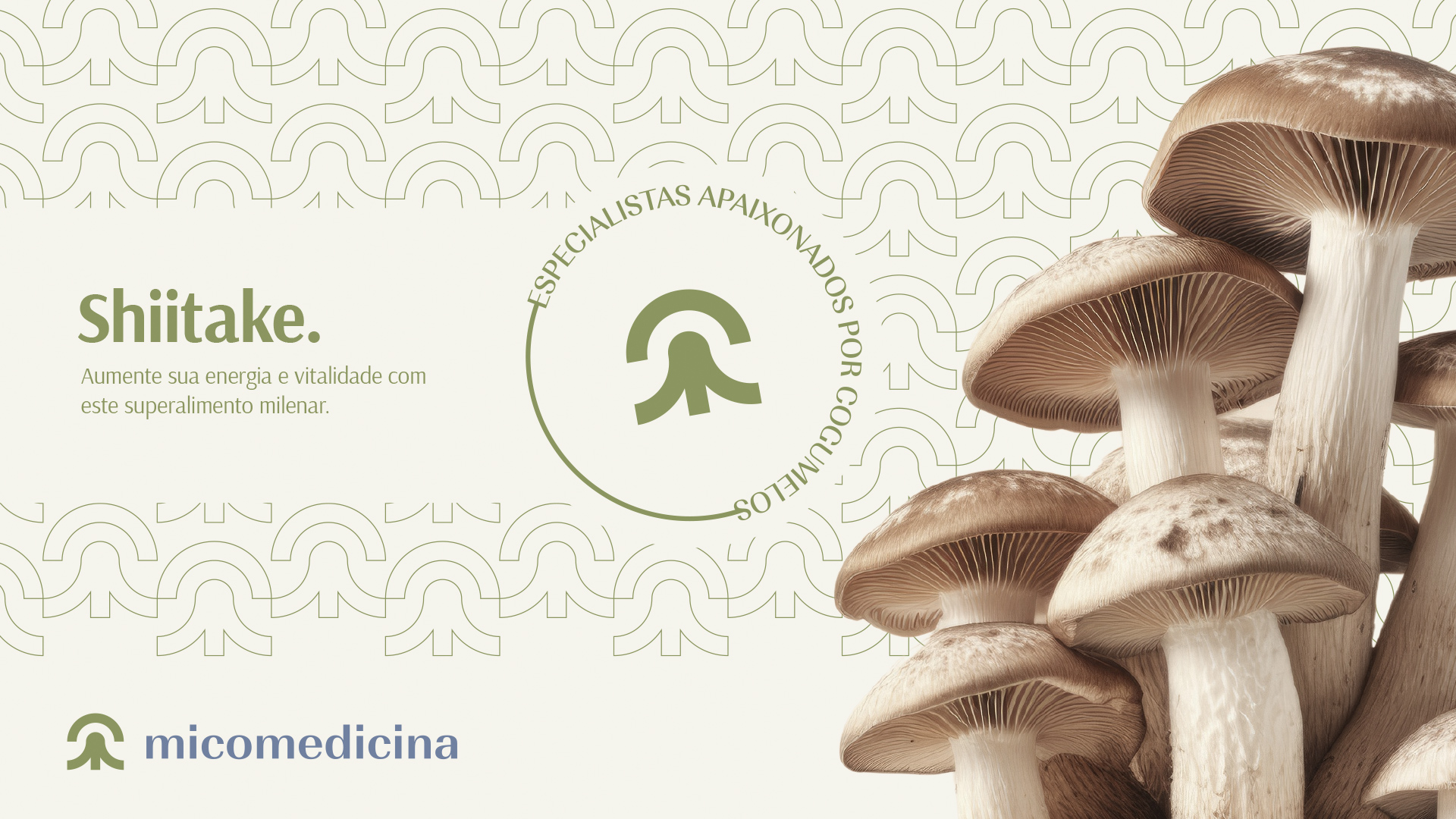 Especialista-em-identidade-visual_Criacao-de-logomarca_criacao-de-logotipo_logotipo_logo_Micomedicina_Logotipo-cogumelo_logotipo-micelio_logotipo-fungo_Rodnei-Cruz_14 Identidade Visual Micomedicina