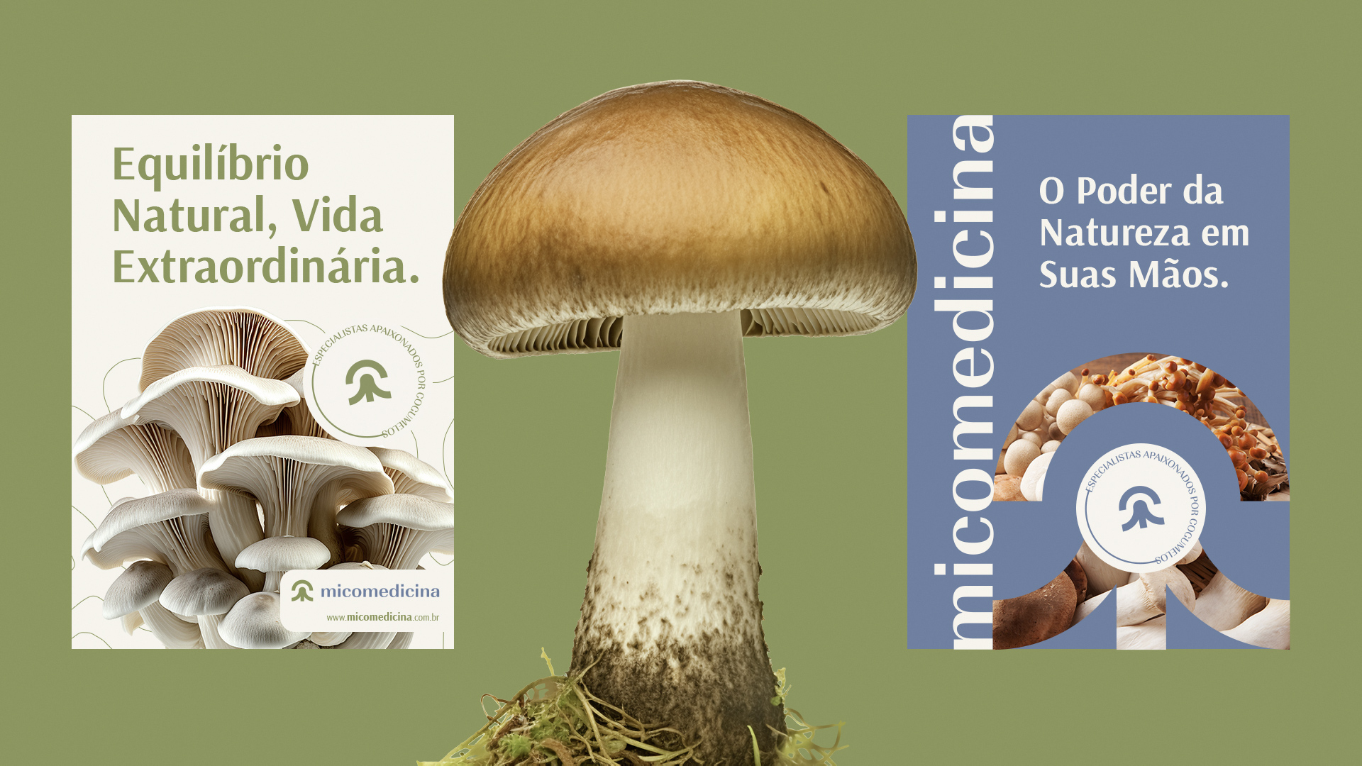 Especialista-em-identidade-visual_Criacao-de-logomarca_criacao-de-logotipo_logotipo_logo_Micomedicina_Logotipo-cogumelo_logotipo-micelio_logotipo-fungo_Rodnei-Cruz_15 Identidade Visual Micomedicina