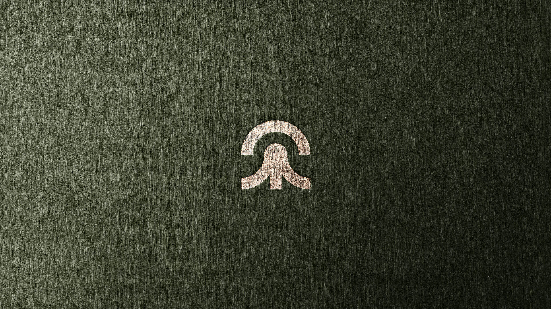 Especialista-em-identidade-visual_Criacao-de-logomarca_criacao-de-logotipo_logotipo_logo_Micomedicina_Logotipo-cogumelo_logotipo-micelio_logotipo-fungo_Rodnei-Cruz_31 Identidade Visual Micomedicina