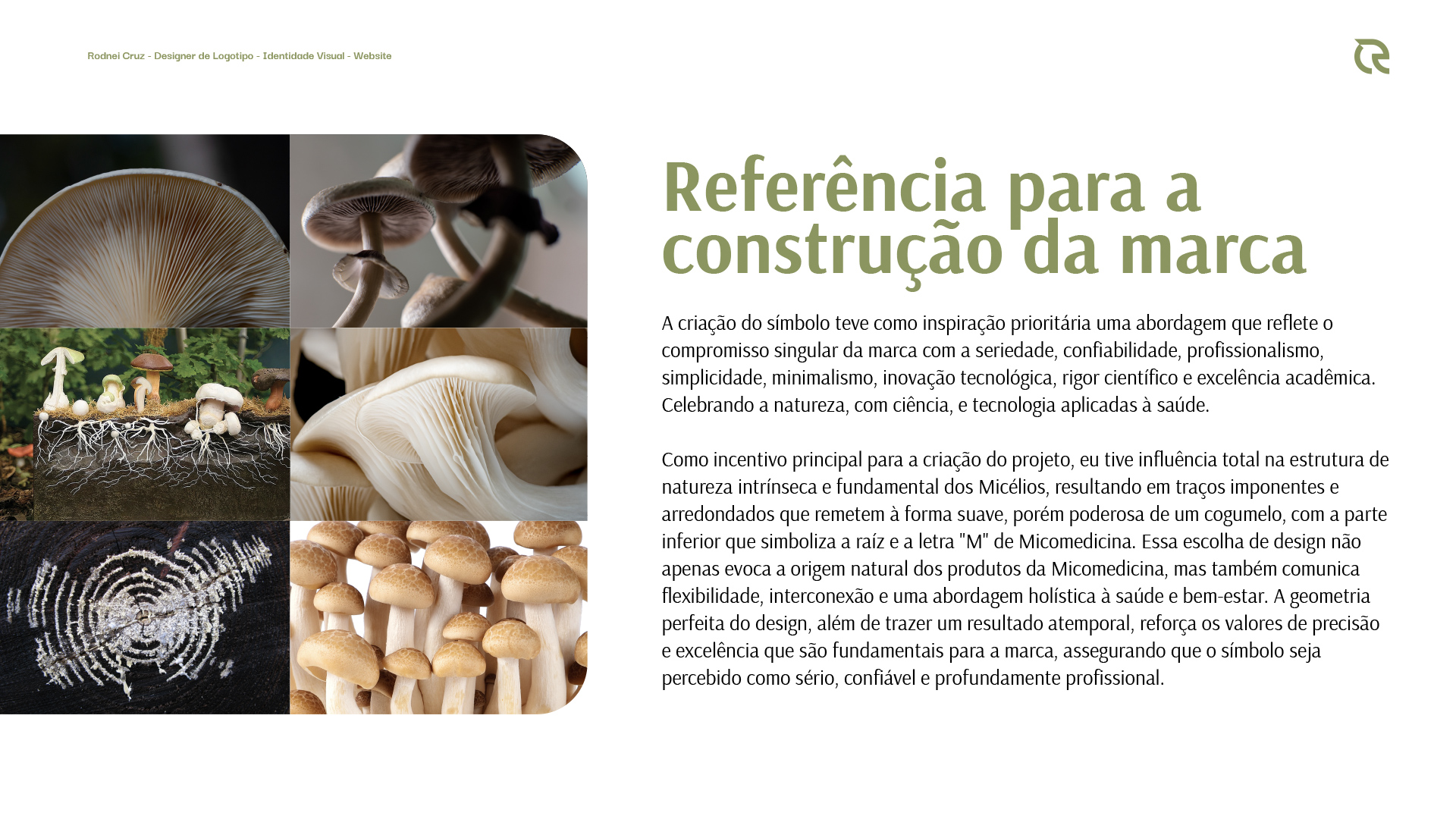Especialista-em-identidade-visual_Criacao-de-logomarca_criacao-de-logotipo_logotipo_logo_Micomedicina_Logotipo-cogumelo_logotipo-micelio_logotipo-fungo_Rodnei-Cruz_4 Identidade Visual Micomedicina
