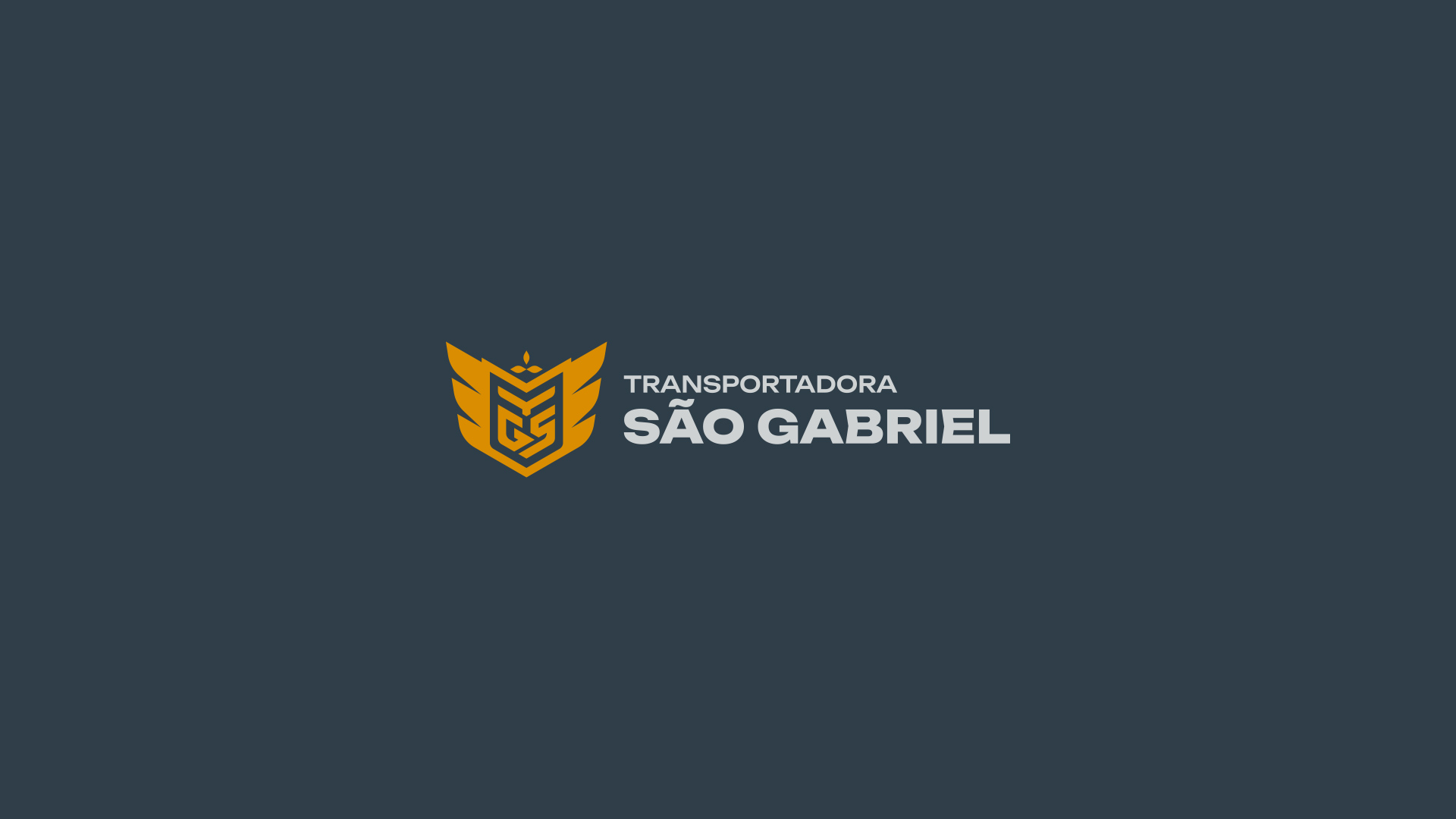 especialista-em-identidade-visual-design-de-marcas-criacao-de-identidade-visual-design-de-identidade-da-marca-logomarca-profissional-criacao-de-logomarca-profissional_Transportadora-Sao-Gabriel_11 Identidade Visual Transportadora São Gabriel