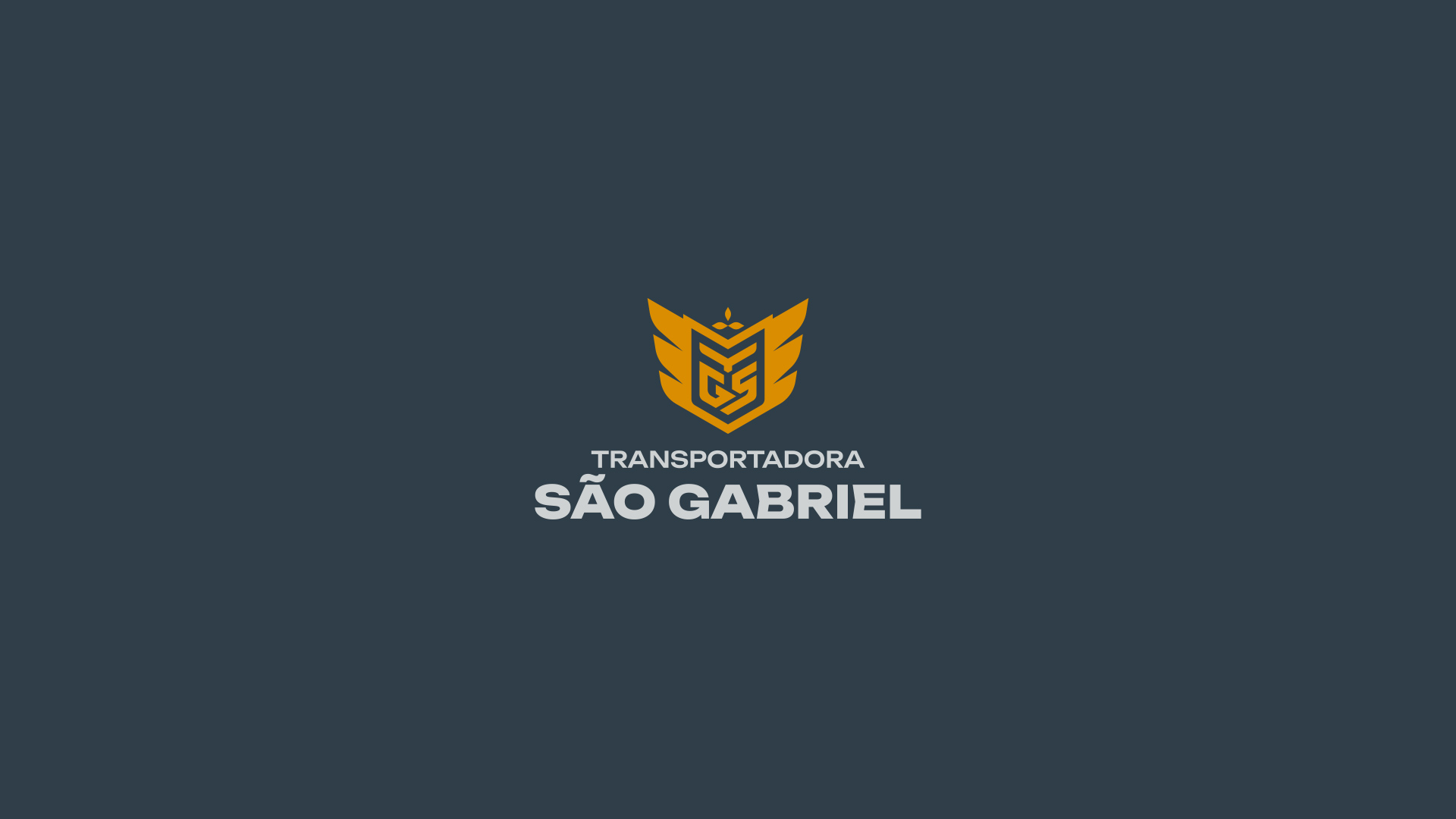especialista-em-identidade-visual-design-de-marcas-criacao-de-identidade-visual-design-de-identidade-da-marca-logomarca-profissional-criacao-de-logomarca-profissional_Transportadora-Sao-Gabriel_15 Identidade Visual Transportadora São Gabriel