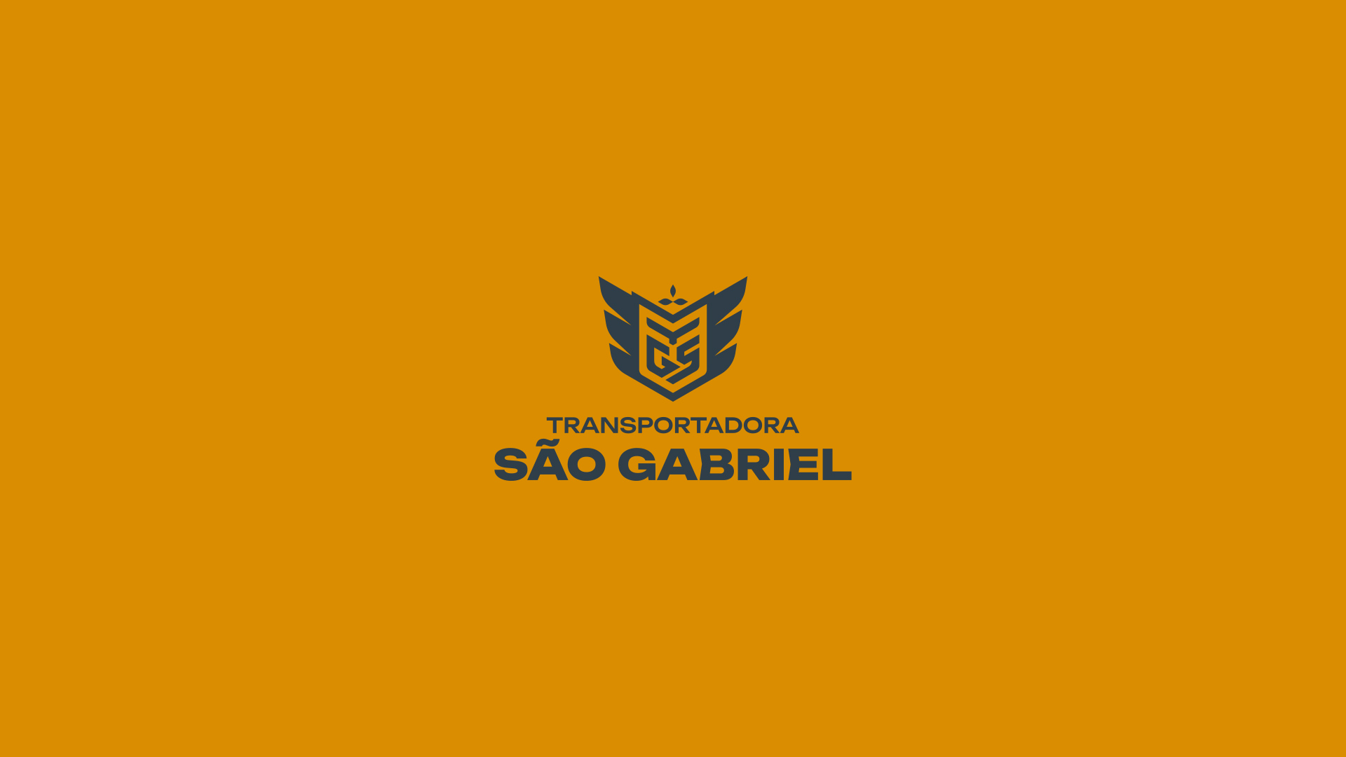 especialista-em-identidade-visual-design-de-marcas-criacao-de-identidade-visual-design-de-identidade-da-marca-logomarca-profissional-criacao-de-logomarca-profissional_Transportadora-Sao-Gabriel_21 Identidade Visual Transportadora São Gabriel