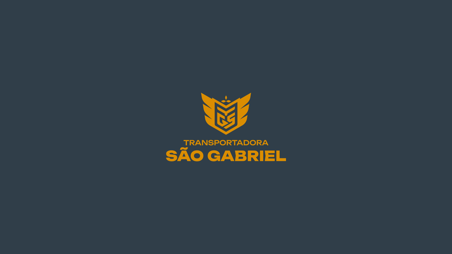 especialista-em-identidade-visual-design-de-marcas-criacao-de-identidade-visual-design-de-identidade-da-marca-logomarca-profissional-criacao-de-logomarca-profissional_Transportadora-Sao-Gabriel_23 Identidade Visual Transportadora São Gabriel