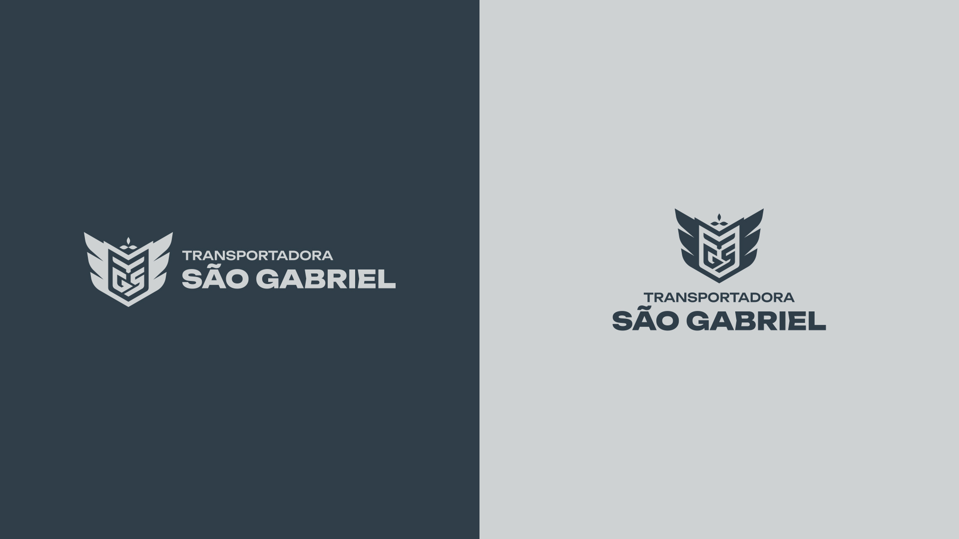 especialista-em-identidade-visual-design-de-marcas-criacao-de-identidade-visual-design-de-identidade-da-marca-logomarca-profissional-criacao-de-logomarca-profissional_Transportadora-Sao-Gabriel_25 Identidade Visual Transportadora São Gabriel