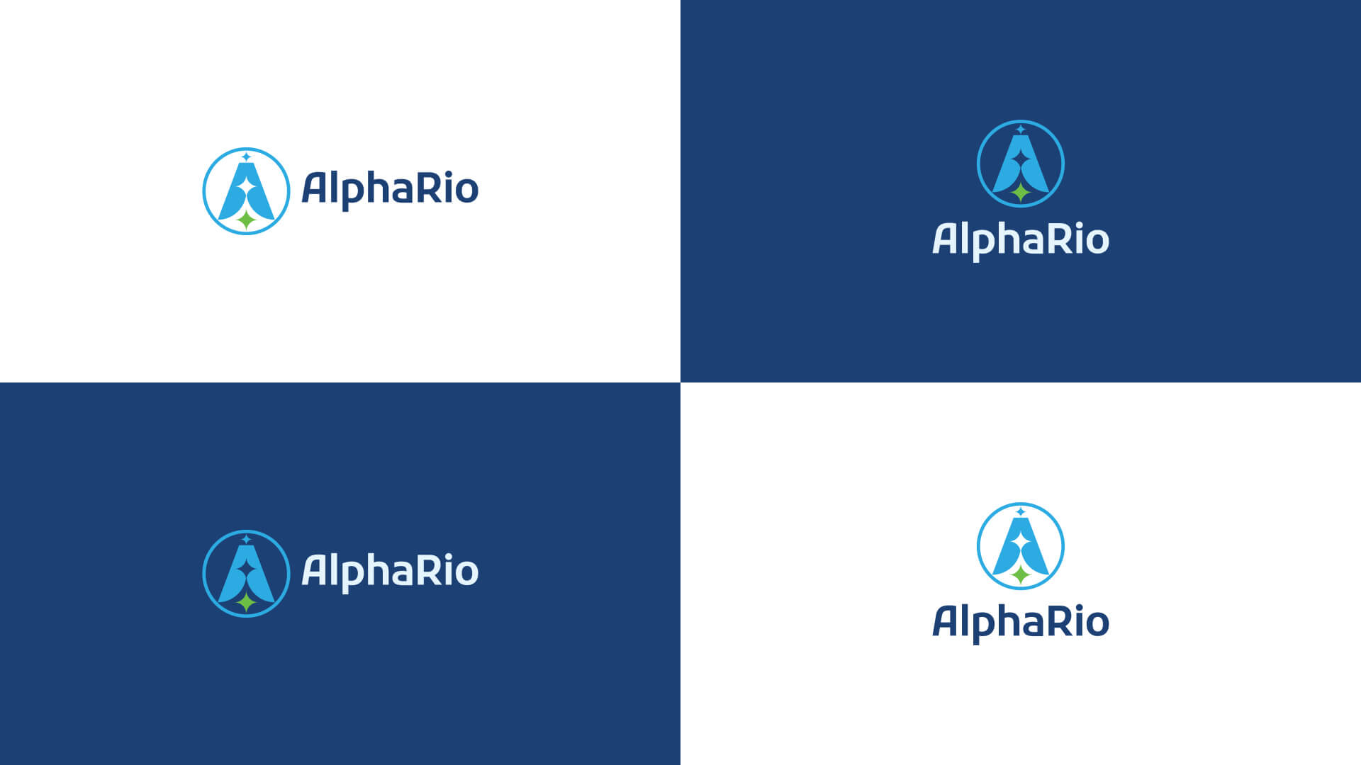 Criacao-de-logomarca-logo-logotipo-logomarca-brand-branding-marca-identidade-visual-AlphaRio-Rodnei-Cruz_6